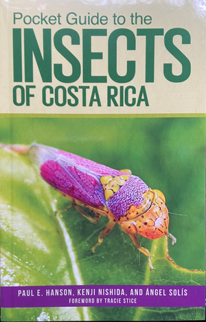 A Pocket Guide to the Insects of Costa Rica